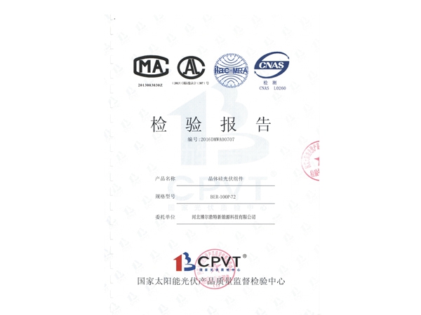 多晶100W檢測報告